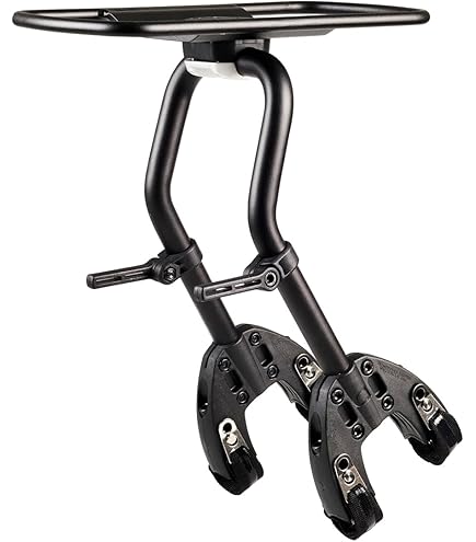 Amazon.com : Topeak Rear Tetrarack M2 for MTB's, Seatstay Fit